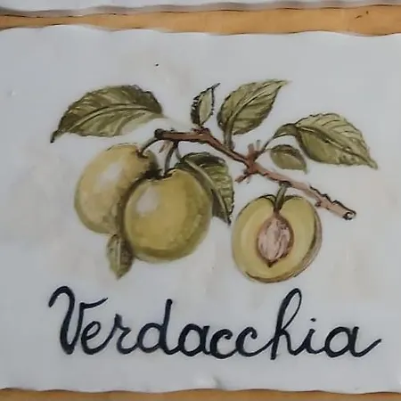 Rosa In Pietra